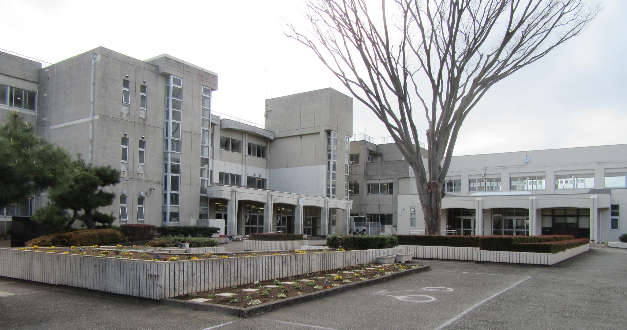 大野台中学校